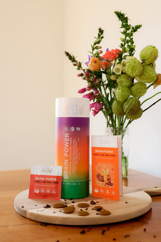 Brain Power Bundle